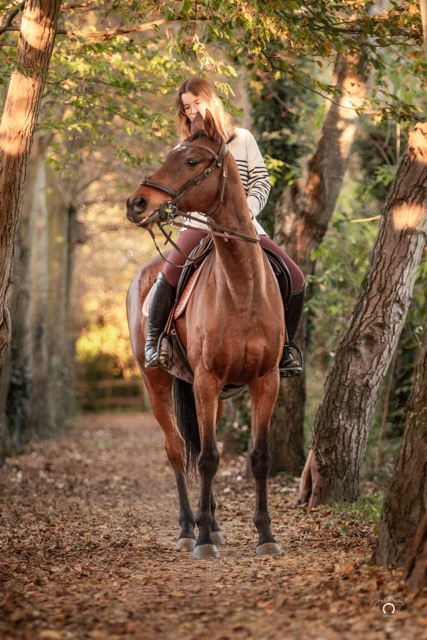 0A8A0634 Avec accentuation Bruit Moyenne
